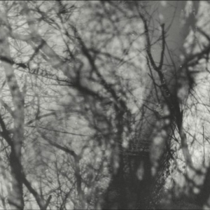 Grouper - Way Their Crept in der Gruppe VINYL / Pop-Rock bei Bengans Skivbutik AB (5645864)