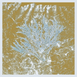 Huerco S. - For Those Of You Who Have Never in der Gruppe VINYL / Dance-Techno bei Bengans Skivbutik AB (5645982)