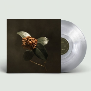St. Paul & The Broken Bones - Young Sick Camellia in der Gruppe VINYL / Kommande / Pop-Rock bei Bengans Skivbutik AB (5646051)