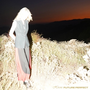 Hirons - Future Perfect in der Gruppe UNSERE TIPPS / Freitagsveröffentlichungen / 2025-11-07 bei Bengans Skivbutik AB (5646871)