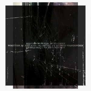 Sanguis - Wounding in der Gruppe UNSERE TIPPS / Freitagsveröffentlichungen / 2025-11-07 bei Bengans Skivbutik AB (5646886)