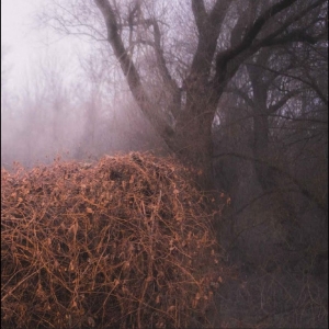 The Devil?S Trade - Nincs Szennyezetlen Szép in der Gruppe UNSERE TIPPS / Freitagsveröffentlichungen / 2025-11-07 bei Bengans Skivbutik AB (5646918)