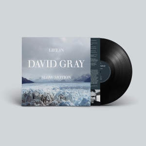 David Gray - Life In Slow Motion (20Th Anniversary Vinyl) in der Gruppe UNSERE TIPPS / Startsida - Vinyl Nyheter & Kommande bei Bengans Skivbutik AB (5647001)