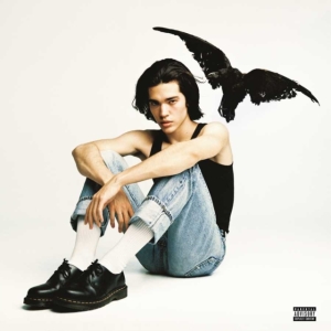 Conan Gray - Kid Krow in der Gruppe CD bei Bengans Skivbutik AB (5647172)