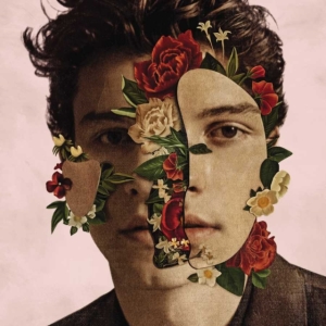 Shawn Mendes - Shawn Mendes in der Gruppe CD / Pop-Rock bei Bengans Skivbutik AB (5647182)