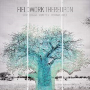 Fieldwork - Thereupon in der Gruppe UNSERE TIPPS / Startsida - CD Nyheter & Kommande bei Bengans Skivbutik AB (5647424)