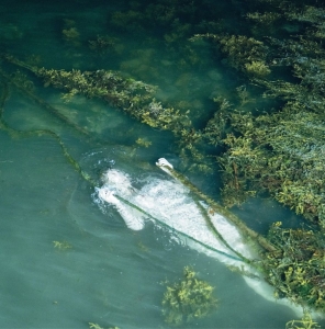 Pietu Arvola - Meidän Täytyy Valvoa Jottemme Nukku in der Gruppe UNSERE TIPPS / Freitagsveröffentlichungen / 2025-11-07 bei Bengans Skivbutik AB (5647532)