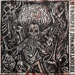 Arottenbit - You Don't Know What A Rework Is (Vi in der Gruppe VINYL / Kommande / Hårdrock bei Bengans Skivbutik AB (5647831)