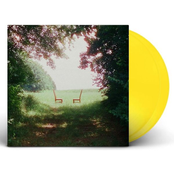 Ratboys - Singin' To An Empty Chair (Yellow V in der Gruppe VINYL / Pop-Rock bei Bengans Skivbutik AB (5648091)