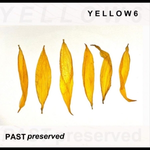 Yellow6 - Past Preserved in der Gruppe VINYL / Kommande / Pop-Rock bei Bengans Skivbutik AB (5648604)