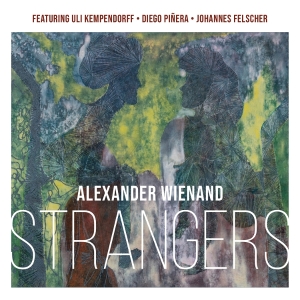Alexander Wienand - Strangers in der Gruppe CD / Jazz bei Bengans Skivbutik AB (5649618)