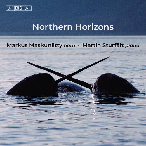 Markus Maskuniitty - Northern Horizons in der Gruppe MUSIK / SACD / Klassiskt bei Bengans Skivbutik AB (5649639)