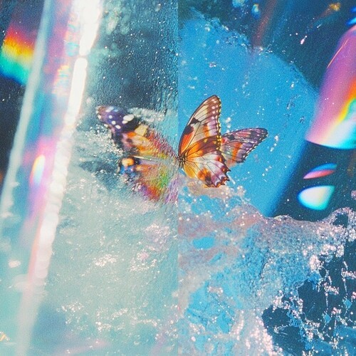 Daphni - Butterfly in der Gruppe CD / Bestseller bei Bengans Skivbutik AB (5650098)