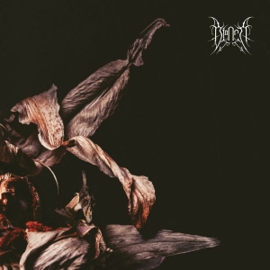 Bianca - Bianca (Digipack) in der Gruppe CD / Kommande / Hårdrock bei Bengans Skivbutik AB (5650327)