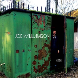 Joe Williamson - Zombie in der Gruppe VINYL / Nyheter / Pop-Rock bei Bengans Skivbutik AB (5650660)