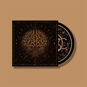 Dark Sky Burial - The Sacred Neurotic in der Gruppe UNSERE TIPPS / Freitagsveröffentlichungen / 2025-12-12 bei Bengans Skivbutik AB (5650691)