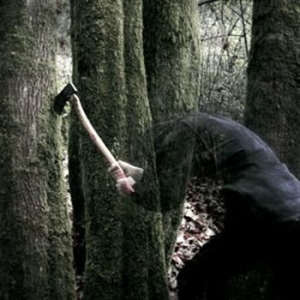 Baptists - Bushcraft in der Gruppe CD / Hårdrock/ Heavy metal bei Bengans Skivbutik AB (565115)