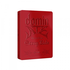 Stray Kids - World Tour - DominATE SEOUL + Photocard Set in der Gruppe Minishops / K-Pop Minishops / Stray Kids bei Bengans Skivbutik AB (5651537)