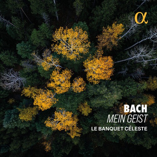 Bach J S - Mein Geist in der Gruppe UNSERE TIPPS / Freitagsveröffentlichungen / 2026-02-13 bei Bengans Skivbutik AB (5651732)