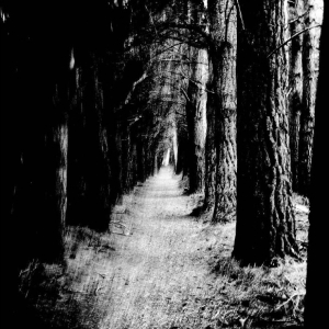 Stray Theories - Falter in der Gruppe CD / Kommande / Pop-Rock bei Bengans Skivbutik AB (5651839)