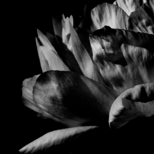 Louise Roam - Là Où Passe La Nuit in der Gruppe VINYL / Kommande / Pop-Rock bei Bengans Skivbutik AB (5651863)