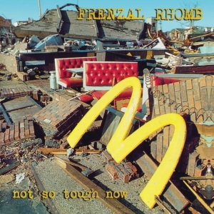 Frenzal Rhomb - Not So Tough Now (Colored Vinyl Lp) in der Gruppe VINYL / Kommande / Pop-Rock bei Bengans Skivbutik AB (5651995)