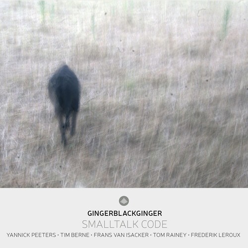 Yannick Peeters & Gingerblackginger & Tim Berne - Smalltalk Code in der Gruppe CD / Bestseller bei Bengans Skivbutik AB (5652008)
