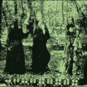 Tristwch Y Fenywod - Tristwch Y Fenywod in der Gruppe VINYL / Pop-Rock bei Bengans Skivbutik AB (5652059)