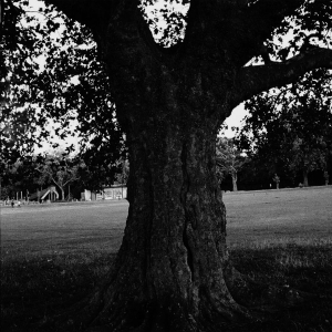 Archy Marshall - A New Place 2 Drown (Instrumentals) in der Gruppe UNSERE TIPPS / Freitagsveröffentlichungen / 2026-01-16 bei Bengans Skivbutik AB (5652185)