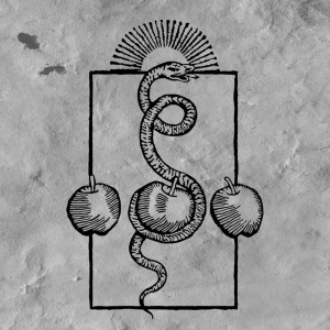 Darvaza - We Are Him in der Gruppe VINYL / Kommande / Hårdrock bei Bengans Skivbutik AB (5652354)