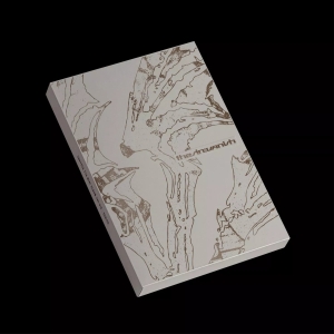 Enhypen - The Sin : Vanish (Afterlight Ver.) in der Gruppe UNSERE TIPPS / Freitagsveröffentlichungen / 2026-01-16 bei Bengans Skivbutik AB (5652590)