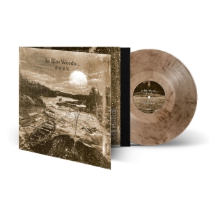 In The Woods - Otra (Marbled Vinyl Lp) in der Gruppe VINYL / Kommande / Hårdrock bei Bengans Skivbutik AB (5652893)