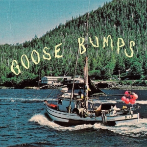 Boyscott - Goose Bumps (Bluue Marble Vinyl) in der Gruppe VINYL / Kommande / Pop-Rock bei Bengans Skivbutik AB (5653282)