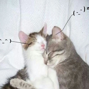 Retail Drugs - I Love You So! in der Gruppe Pop-Rock bei Bengans Skivbutik AB (5653488)