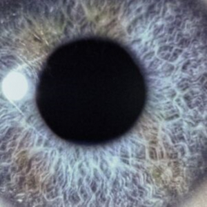 Swanö Dan - Moontower (Re-Issue) in der Gruppe UNSERE TIPPS / Freitagsveröffentlichungen / 2026-03-06 bei Bengans Skivbutik AB (5653693)