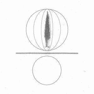 Stephen O'malley - Spheres Collapser in der Gruppe VINYL bei Bengans Skivbutik AB (5654002)