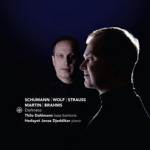 Thilo Dahlmann & Hedayet Jonas Djeddikar - Darkness in der Gruppe CD / Bestseller bei Bengans Skivbutik AB (5654281)
