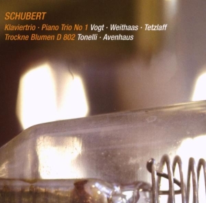 Lars Vogt & Antje Weithaas & Christian Tetzlaff - Schubert: Klaviertrio - Piano Trio No. 1/Trockne Blumen D 802 in der Gruppe CD / Klassiskt bei Bengans Skivbutik AB (5654289)