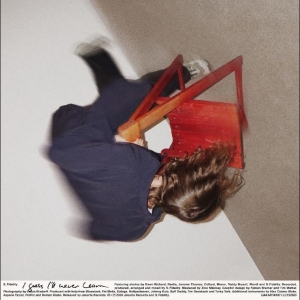 S. Fidelity - I Guess I?Ll Never Learn in der Gruppe VINYL / Kommande / Pop-Rock bei Bengans Skivbutik AB (5654638)