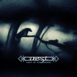 Nest - Trail Of The Unwary (2 Lp Vinyl) in der Gruppe VINYL / Kommande / Hårdrock bei Bengans Skivbutik AB (5655019)