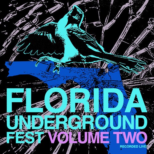Various Artists - Florida Underground Fest Vol. 2 in der Gruppe VINYL / Pop-Rock bei Bengans Skivbutik AB (5655158)