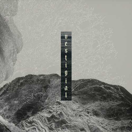 Vestigial - Descending Vastness in der Gruppe CD / Bestseller bei Bengans Skivbutik AB (5655234)
