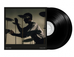James Blake - Trying Times in der Gruppe VINYL / Pop-Rock bei Bengans Skivbutik AB (5655589)