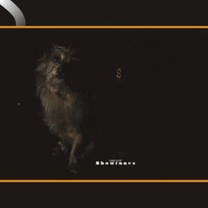 Lambchop - Showtunes in der Gruppe VINYL / Pop-Rock bei Bengans Skivbutik AB (5655861)