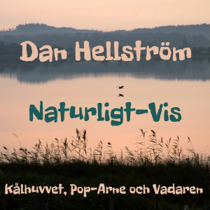 Dan Hellström & Naturligt-Vis - Kålhuvvet, Pop-Arne Och Vadaren in der Gruppe UNSERE TIPPS / Freitagsveröffentlichungen / 2026-03-13 bei Bengans Skivbutik AB (5655878)