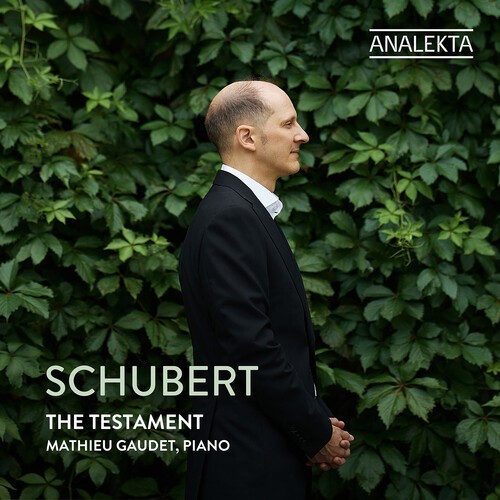 Franz Schubert - The Testament in der Gruppe UNSERE TIPPS / Freitagsveröffentlichungen / 2026-04-10 bei Bengans Skivbutik AB (5656124)