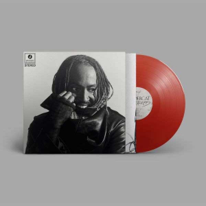 Thundercat - Distracted (Red Vinyl) in der Gruppe VINYL bei Bengans Skivbutik AB (5656183)