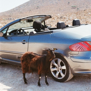 Exek - Prove The Mountains Move in der Gruppe VINYL / Kommande / Pop-Rock bei Bengans Skivbutik AB (5656303)