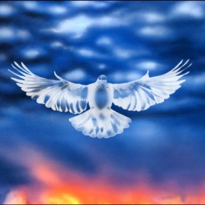 Falty Dl - Mission Barnhus in der Gruppe VINYL / Kommande / Pop-Rock bei Bengans Skivbutik AB (5656445)