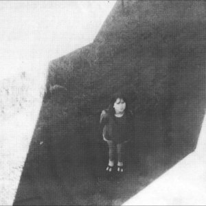 Field Commander Ali - The Next From Field Commander in der Gruppe VINYL / Kommande / Pop-Rock bei Bengans Skivbutik AB (5656577)